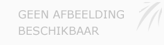 Afbeelding › Bloemen André Afbeelding › Bloemen André