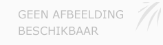 Afbeelding › De Groene Droom